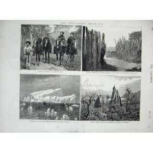    1876 Sandwich Islands Kingston Jamaica Icebergs War