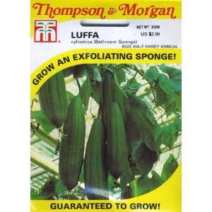  Thompson & Morgan 6925 Luffa cylindrica (Bathroom Sponge 