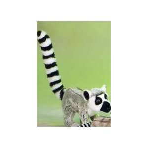  Realistic 8.5 Inch Plush Lemur By SOS Toys & Games