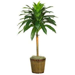 Nearly Natural 44 inch Dracaena w/Basket Silk Plant (Real Touch 