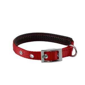   Padded Pet Collar with Alloy Buckle, Red 