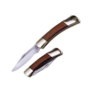  Stainless pocket knife with locking blade.