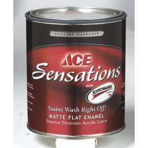    Ace Sensations Premium Flat Latex Interior Paint