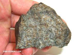 Meteorite JILIN [H5] 1976 observed fall 134.1g RARE  