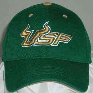 South Florida Bulls One Fit NCAA Wool Flex Cap (Team Color)  