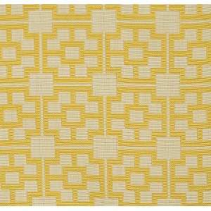 2404 Lanai in Butter by Pindler Fabric
