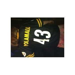  Pittsburg Steelers Troy Polamalu #43 Youth Replica Jersey 