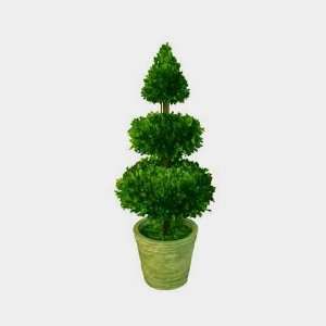  Preserved Boxwood Double Ball Sphere & Cone Topiary   40 