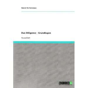 Due Diligence   Grundlagen (German Edition)