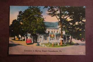 Skytop Road, Canadensis, PA. Old Vintage Postcard  