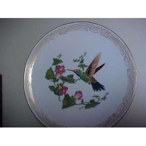  Broad billed Hummingbird Collector Plate 