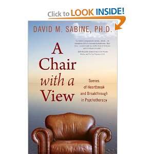  A Chair with a View Scenes of Heartbreak and Breakthrough 