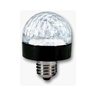  12V 36 LED Bulb