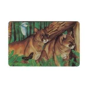  Collectible Phone Card $20. Mountain Lions In Forest 
