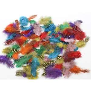   Craft Feathers   6 Packages Each with 4 Grams of Feathers Arts