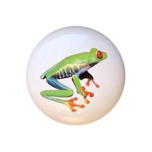  Red eyed Tree Frog Frogs Drawer Pull Knob
