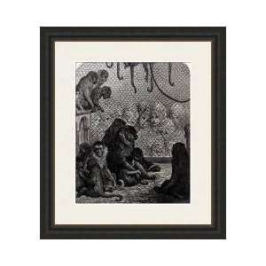  London Monkeys Framed Giclee Print