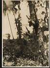 Puerto Rico 1920s real photo 12x17cm fruits cacao tree