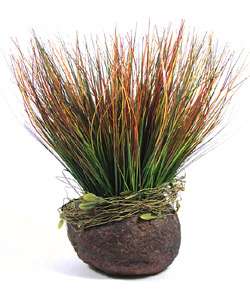Potted Silk Onion Grass Plant  