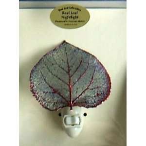  Real Aspen Leaf in Iridescent copper Night Lights