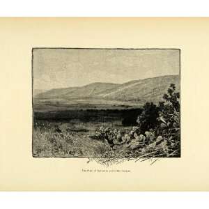   Hermon Palestine Landscape Israel   Original Engraving