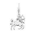 Astrology Silver Charms   Buy Charms & Pins Online 
