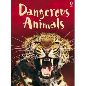 Dangerous Animals (Usborne Beginners, Information for Young Readers 