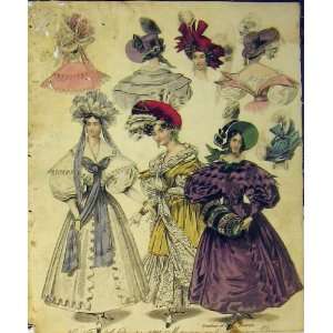  Womens Fashion Evening Dresses Hats Countess Belfast