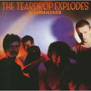  Kilimanjaro Teardrop Explod Music