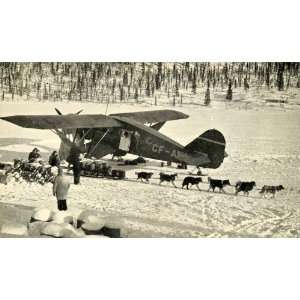  1943 Print Canada Bush Pilot Dog Sled Team Antique 