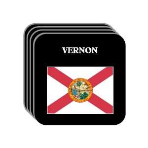 US State Flag   VERNON, Florida (FL) Set of 4 Mini Mousepad Coasters