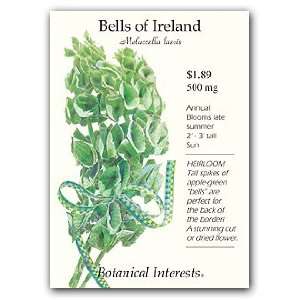  Bells of Ireland Seed Patio, Lawn & Garden