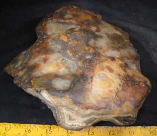 rm69   NEW STOCK   MAD RIVER AGATE   Madagascar   5.3 lbs #373  