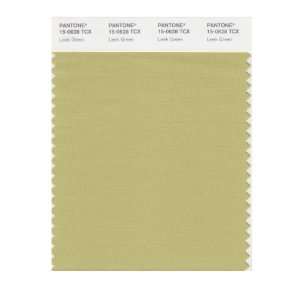  PANTONE SMART 15 0628X Color Swatch Card, Leek Green