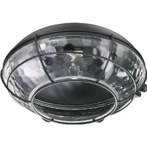  Quorum 1375 859, Large Clear Hammered Glass Patio Light 