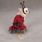 PetEdge Casual Canine Lady Bug Costume Lrg
