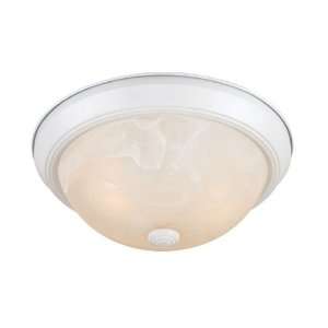   Light Down Lighting Flush Mount Ceiling Fixture from the Builder Twin