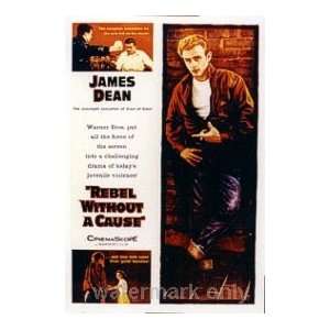  REBEL WITHOUT A CAUSE   VINTAGE MOVIE POSTER(Size 26x38 