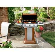 Gas Grills from Kenmore and Weber  
