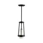 Philips Forecast Lighting 27th Street Pendant in Wrought Iron   Size 