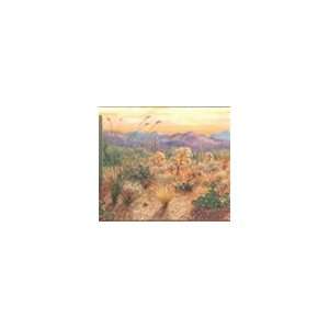 Orange Sonoran Sunrise Wallpaper Border 