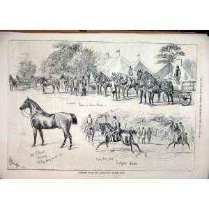   Sketches Barnstaple Horse Show 1877 Judging Hacks Cart