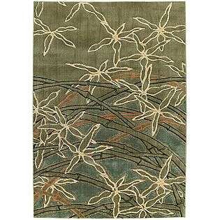 Rug Collection Impressions Sage  Shaw Living For the Home Rugs Various 
