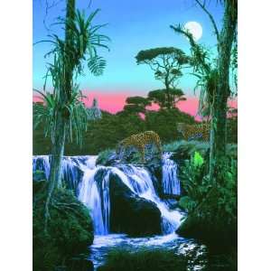    Tropic Moon 500pc Jigsaw Puzzle by Rod Frederick Toys & Games