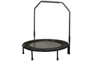 Sunny Fitness 40 Foldable Exercise Trampoline w/ Bar  
