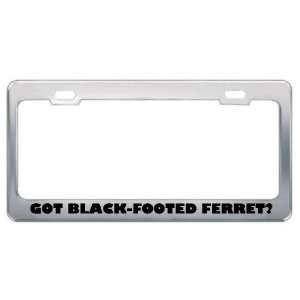 Got Black Footed Ferret? Animals Pets Metal License Plate Frame Holder 