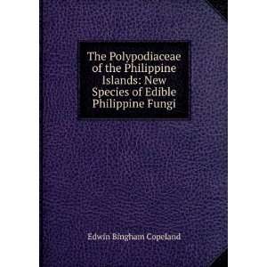  The Polypodiaceae of the Philippine Islands. New species 