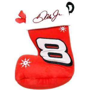 Dale Jr. Holiday Stocking 