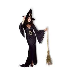   Ladies Halloween Costumes  Witch Fancy Dress Costume Toys & Games