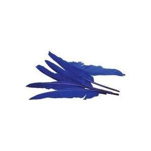  Midwest Design Indian Feathers 6/pkg royal Blue 6 Pack 